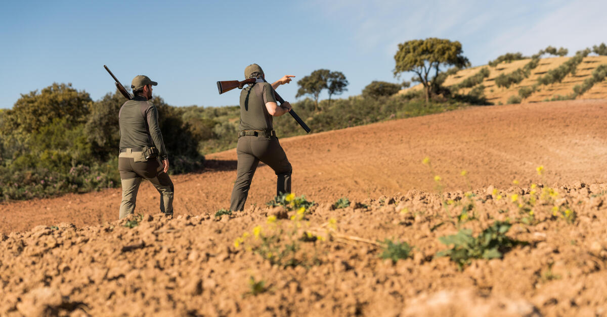 Le chasseur petit gibier en plaine